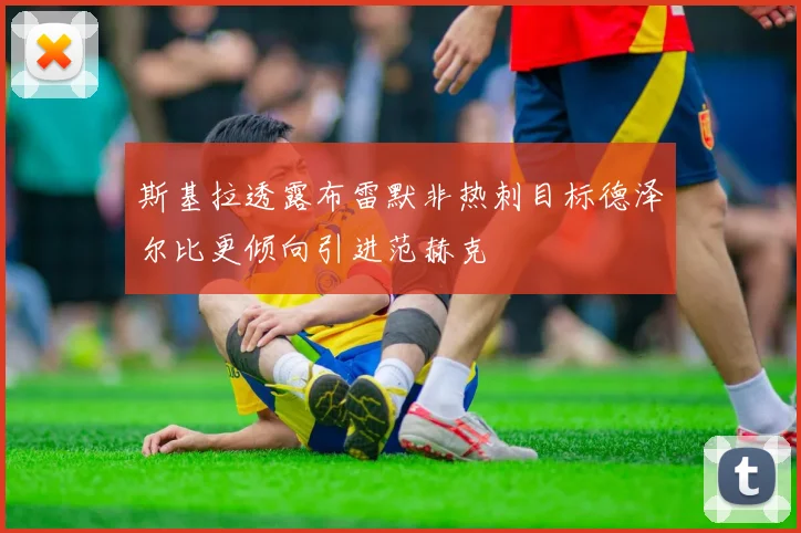 斯基拉透露布雷默非热刺目标德泽尔比更倾向引进范赫克